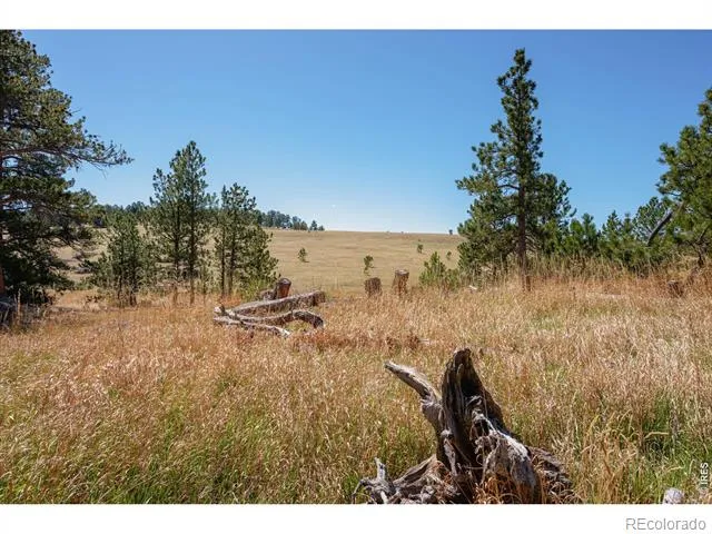 255 Elk Park Road Livermore, CO 80536