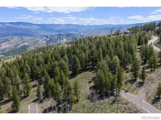 107 Cavesson Court Edwards, CO 81632