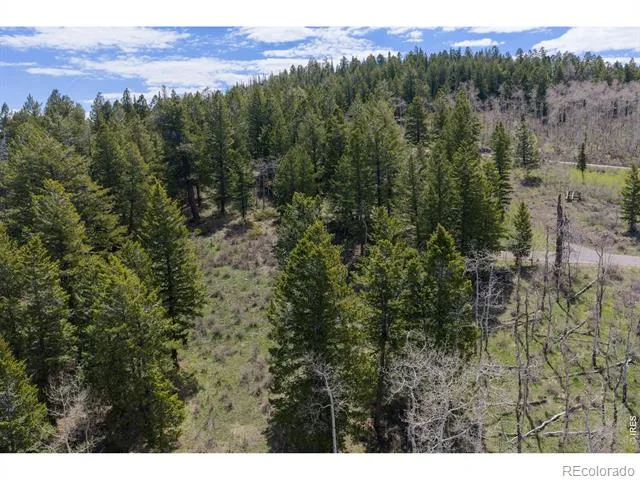 107 Cavesson Court Edwards, CO 81632