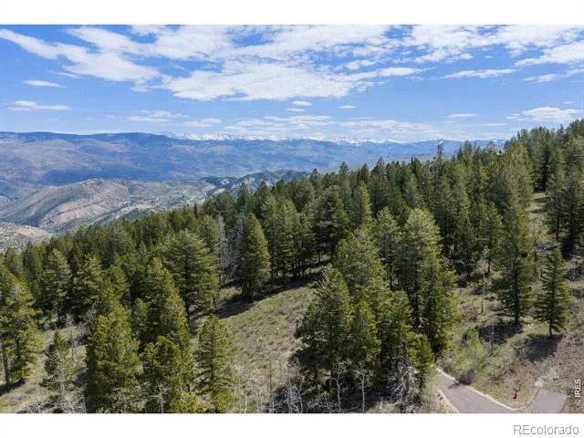 107 Cavesson Court Edwards, CO 81632
