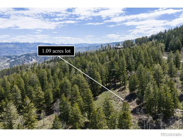 107 Cavesson Court Edwards, CO 81632