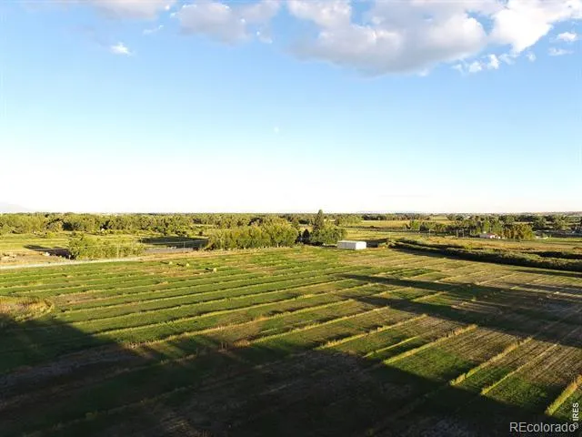 4690 County Road 5 W Monte Vista, CO 81144