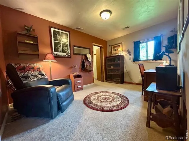 1746 Lump Gulch Road Black Hawk, CO 80422