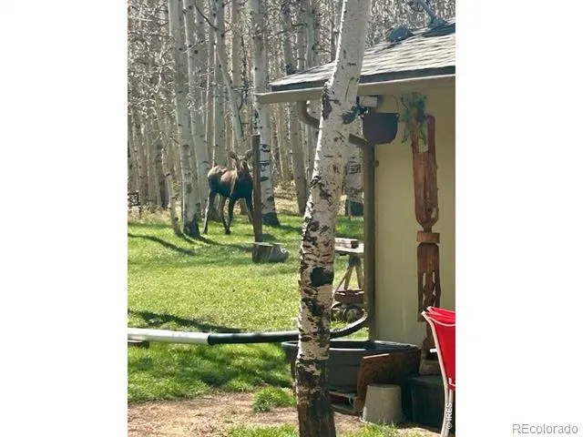 1746 Lump Gulch Road Black Hawk, CO 80422