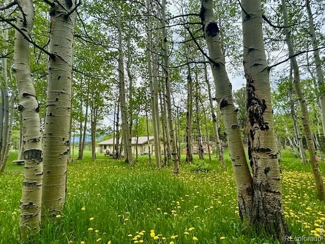 1746 Lump Gulch Road Black Hawk, CO 80422