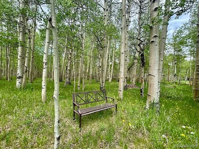 1746 Lump Gulch Road Black Hawk, CO 80422