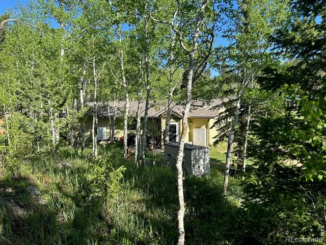 1746 Lump Gulch Road Black Hawk, CO 80422