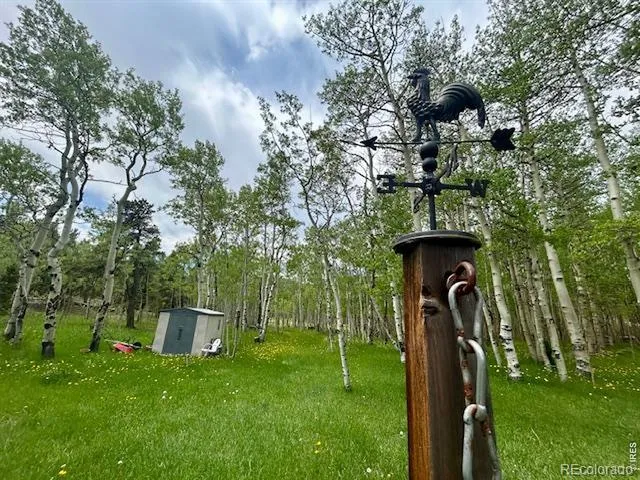 1746 Lump Gulch Road Black Hawk, CO 80422