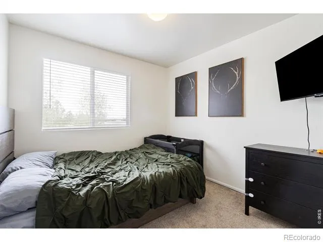 6615 Desert Willow Way #2 Fort Collins, CO 80525