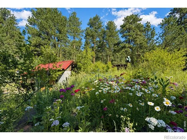 2508 Riverside Drive Lyons, CO 80540