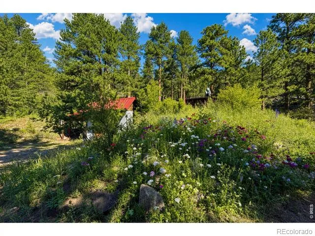 2508 Riverside Drive Lyons, CO 80540
