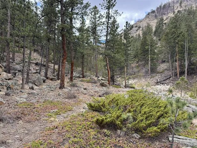 122 Black Hollow Road Bellvue, CO 80512