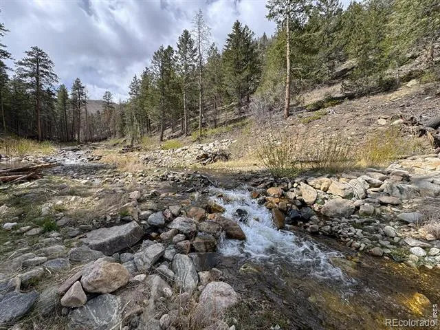 122 Black Hollow Road Bellvue, CO 80512
