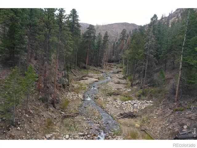 122 Black Hollow Road Bellvue, CO 80512