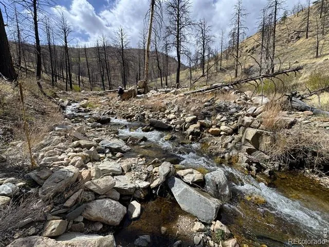 122 Black Hollow Road Bellvue, CO 80512