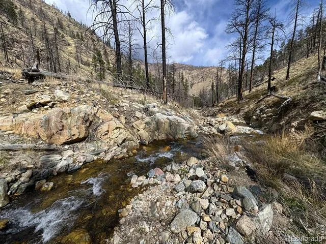 122 Black Hollow Road Bellvue, CO 80512