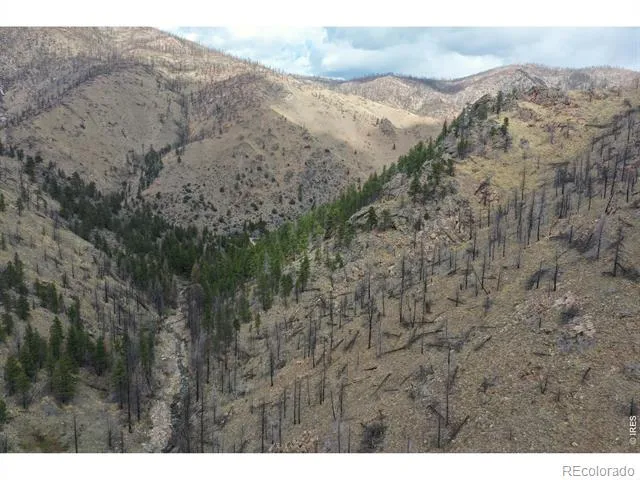 122 Black Hollow Road Bellvue, CO 80512