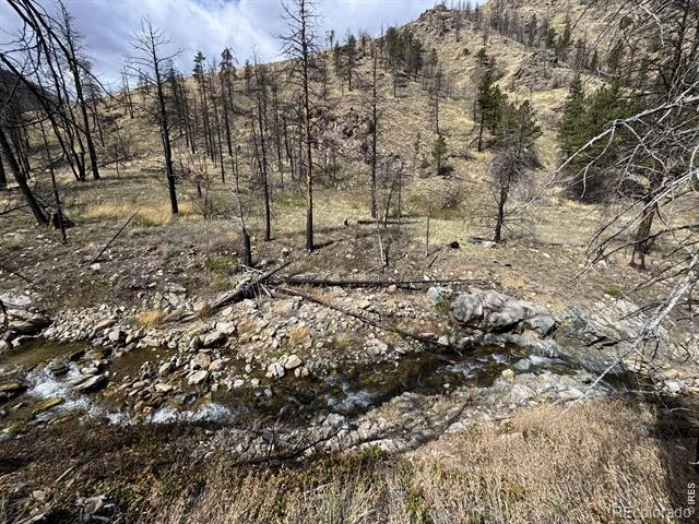 122 Black Hollow Road Bellvue, CO 80512