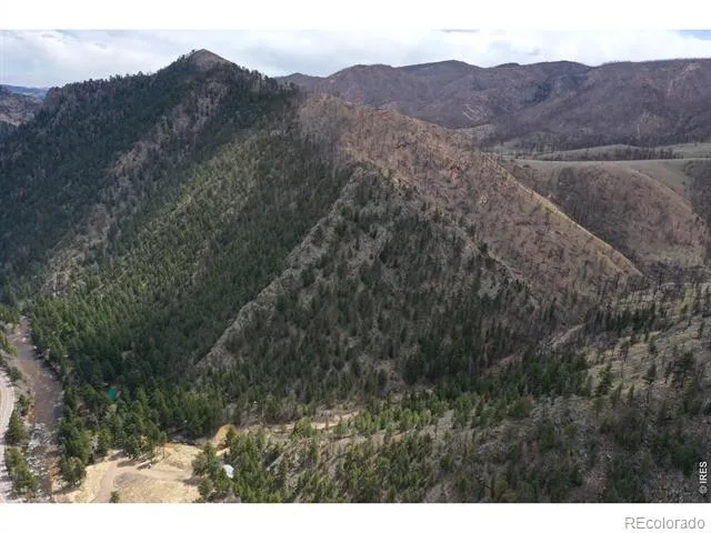 122 Black Hollow Road Bellvue, CO 80512