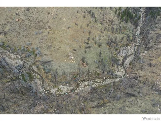 122 Black Hollow Road Bellvue, CO 80512