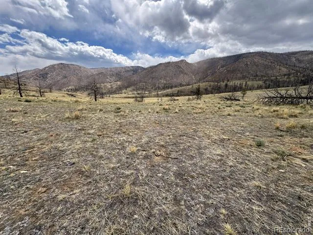 122 Black Hollow Road Bellvue, CO 80512