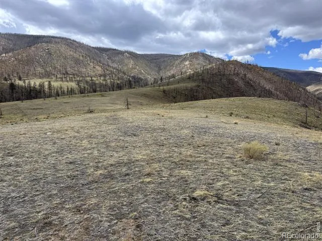 122 Black Hollow Road Bellvue, CO 80512