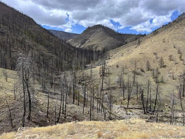 122 Black Hollow Road Bellvue, CO 80512