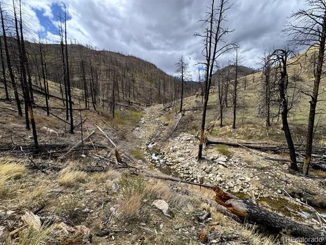 122 Black Hollow Road Bellvue, CO 80512