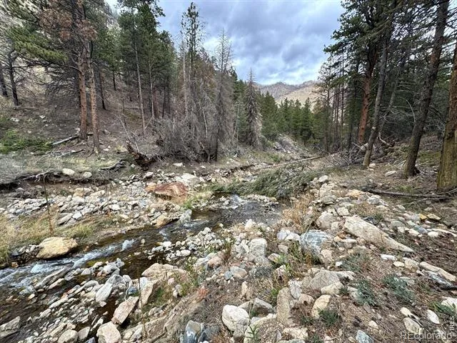 122 Black Hollow Road Bellvue, CO 80512