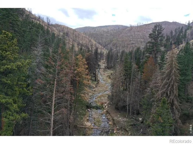 122 Black Hollow Road Bellvue, CO 80512