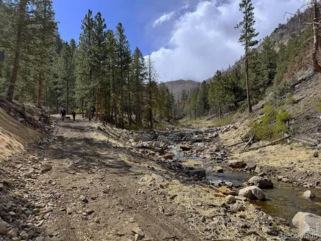 122 Black Hollow Road Bellvue, CO 80512