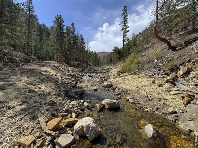 122 Black Hollow Road Bellvue, CO 80512