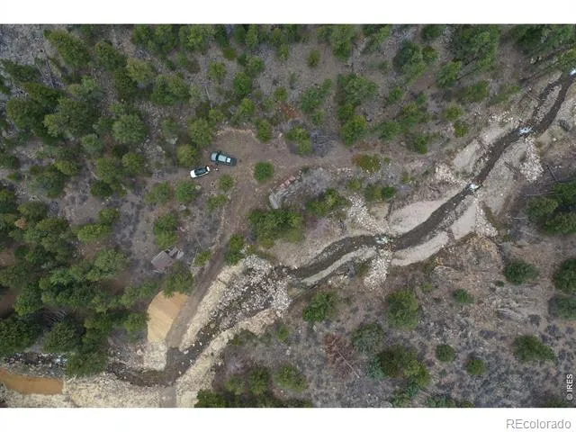 122 Black Hollow Road Bellvue, CO 80512