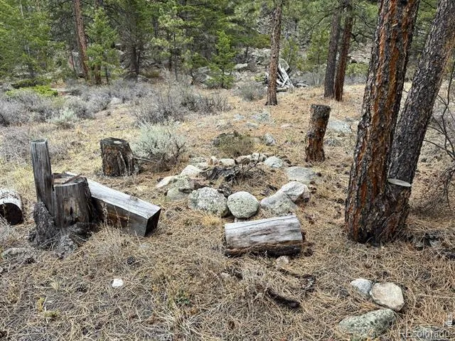 122 Black Hollow Road Bellvue, CO 80512