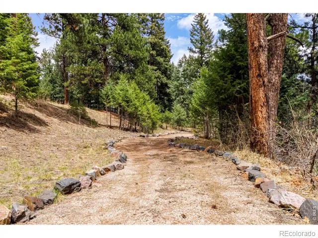 7008 Bluff Trail Morrison, CO 80465