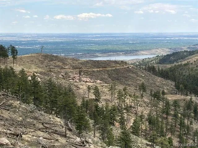 711 Saddle Ridge Road Bellvue, CO 80512