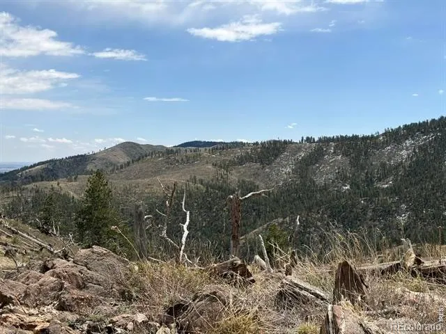 711 Saddle Ridge Road Bellvue, CO 80512
