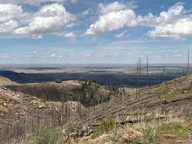 711 Saddle Ridge Road Bellvue, CO 80512