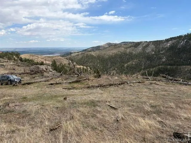 711 Saddle Ridge Road Bellvue, CO 80512