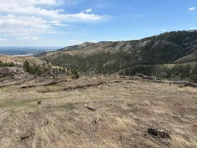 711 Saddle Ridge Road Bellvue, CO 80512