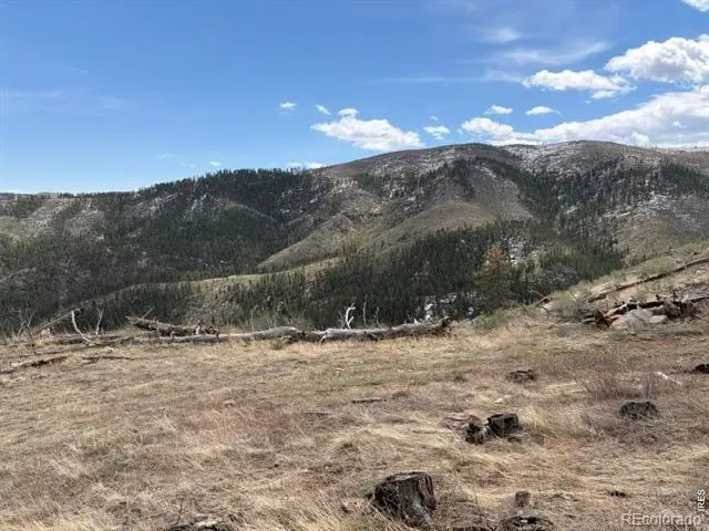 711 Saddle Ridge Road Bellvue, CO 80512