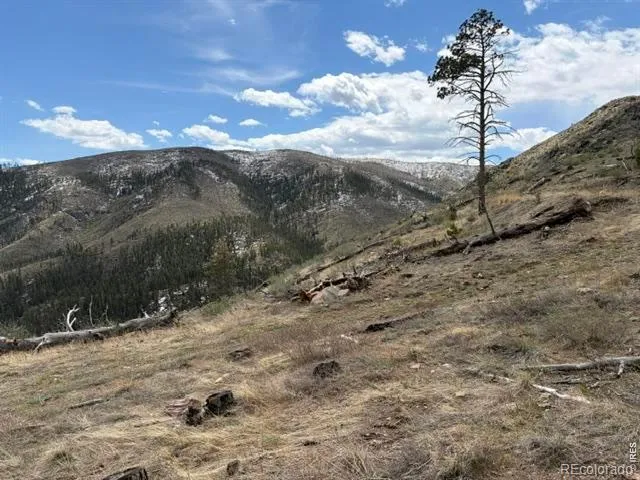 711 Saddle Ridge Road Bellvue, CO 80512