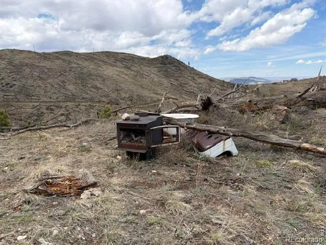 711 Saddle Ridge Road Bellvue, CO 80512