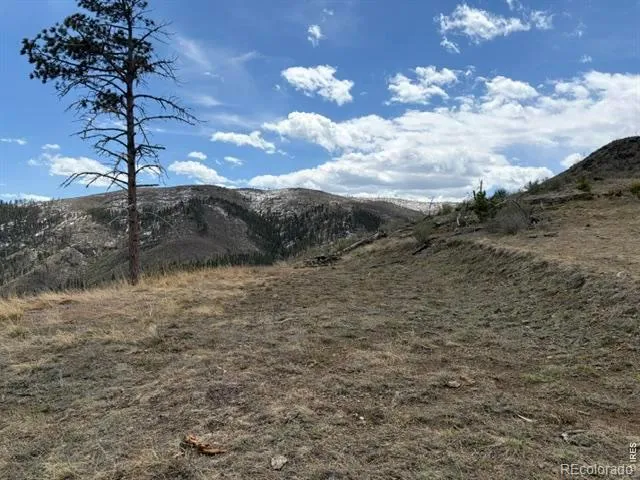 711 Saddle Ridge Road Bellvue, CO 80512