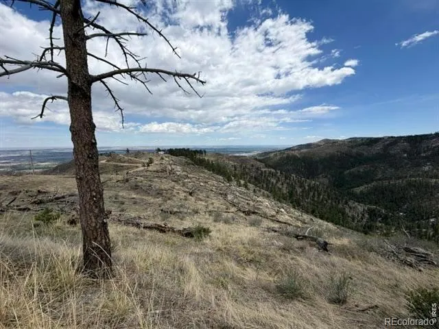 711 Saddle Ridge Road Bellvue, CO 80512