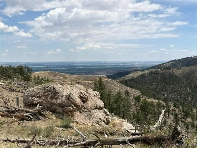 711 Saddle Ridge Road Bellvue, CO 80512
