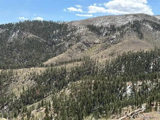 711 Saddle Ridge Road Bellvue, CO 80512