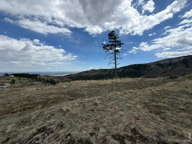 711 Saddle Ridge Road Bellvue, CO 80512