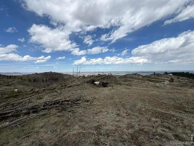 711 Saddle Ridge Road Bellvue, CO 80512