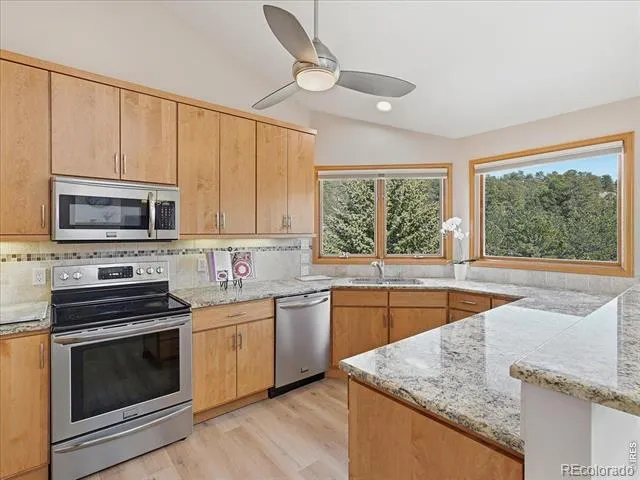 1861 Raven Avenue #1 Estes Park, CO 80517